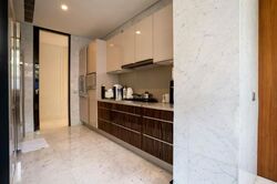The Nassim (D10), Condominium #587447311